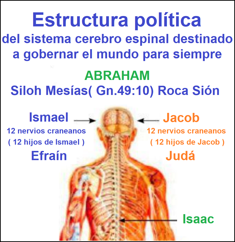 Imperio mundial de la profecia